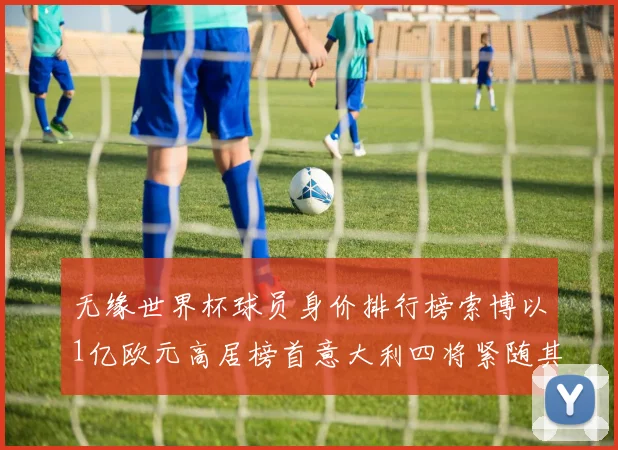 无缘世界杯球员身价排行榜索博以1亿欧元高居榜首意大利四将紧随其后