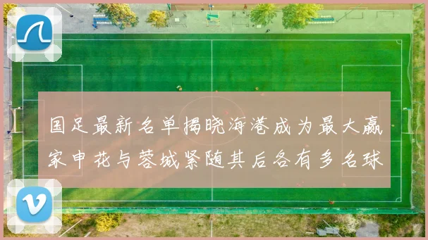 国足最新名单揭晓海港成为最大赢家申花与蓉城紧随其后各有多名球员入选
