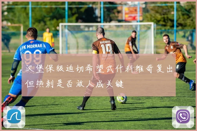 汉堡保级迫切希望武什科维奇复出但热刺是否放人成关键