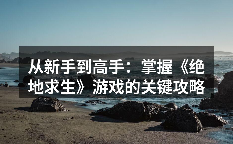 绝地求生游戏界面