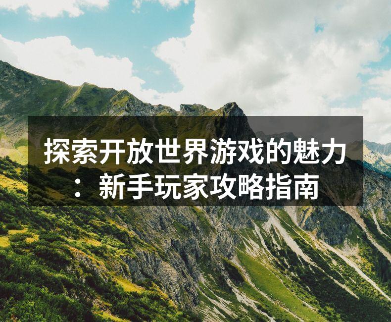 开放世界游戏的广阔地图